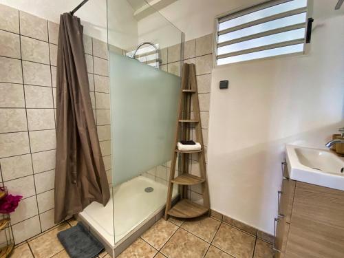 a bathroom with a shower and a sink at Villa détente vue mer st leu 6 personnes in Saint-Leu