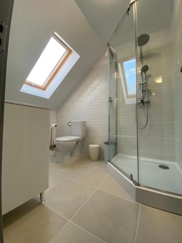 a bathroom with a shower and a toilet at Sunny Hill Apartments in Sînpetru