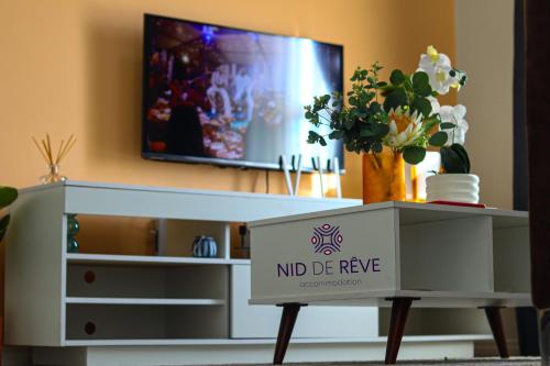Un televizor și/sau centru de divertisment la Nid de Rêve Accommodation