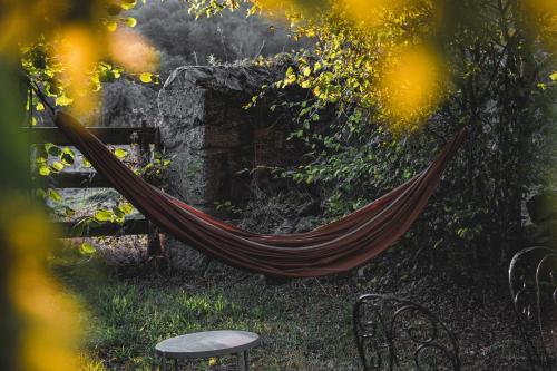 a hammock in a garden next to a stone wall at Tiny House Morvan Bourgogne nature - 2h de Paris in Bussières