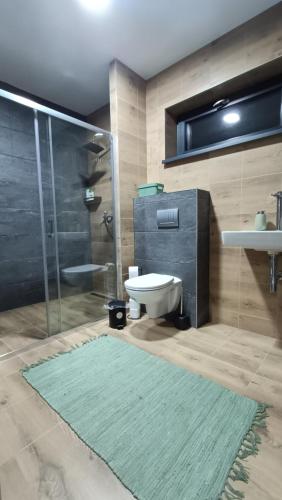 a bathroom with a shower and a toilet and a sink at SuperChata sk - Moderné ubytovanie pod Sninským kameňom in Hámry