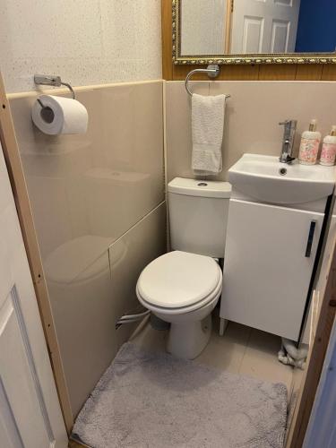 a small bathroom with a toilet and a sink at ROOM with SHOWER, TOILET and KITCHENETTE in Tonbridge