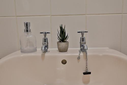 a bathroom sink with two faucets and a plant on it at ZSKstays! Comfortable home, 10 minutes from centre, free parking! in Hull