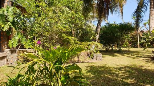 einen Garten mit Palmen und Blumen im Hof in der Unterkunft Les Citronniers in Sainte Marie