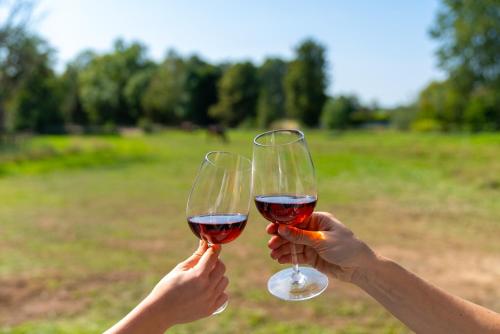 two people holding up wine glasses in a field at Landhaus Bachglück in Zülpich