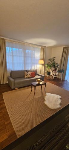 a living room with a couch and a rug at Apartment Waltendorf in Graz