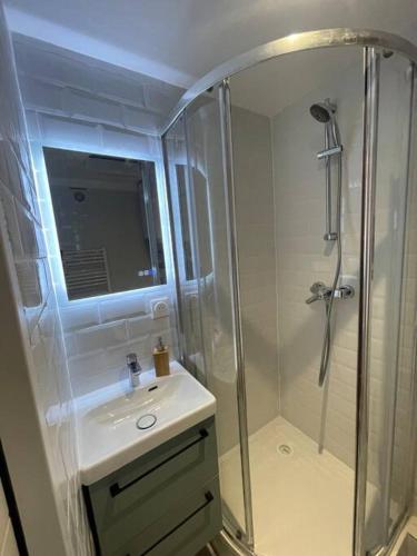 une salle de bain avec douche et lavabo dans l'établissement Center PARIS, à Paris