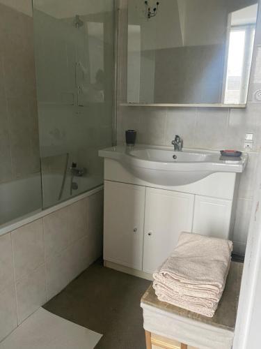 een witte badkamer met een wastafel en een douche bij Appartement T1B place saint Anne in La Riche