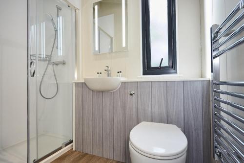 a bathroom with a toilet and a sink and a shower at Letham Feus Lodge and Caravan Park in Fife