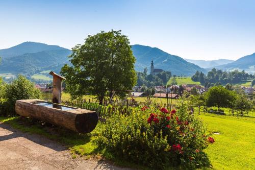 a garden with a fountain in the grass with flowers at Langerbauer-Hof inkl. Chiemgaukarte in Ruhpolding