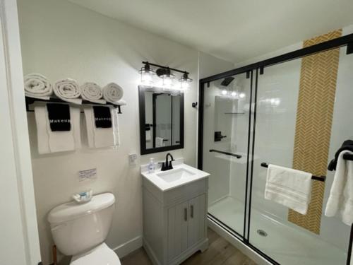a bathroom with a toilet and a shower and a sink at Sunset Beach Resort in Osage Beach