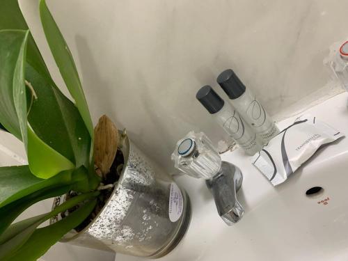 a bathroom sink with a faucet and a plant on it at On the Beach in Durban