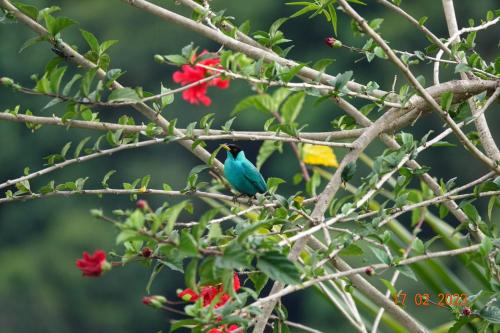Villa del rio – Photos 2