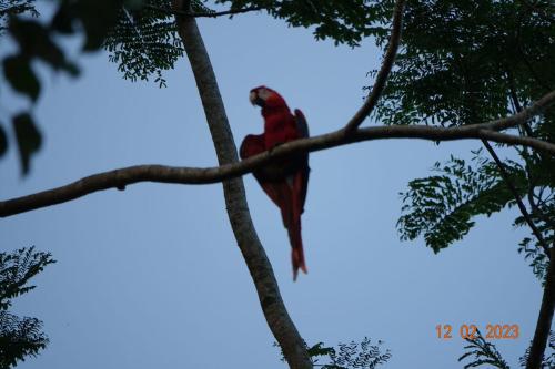 Villa del rio – Photos 5