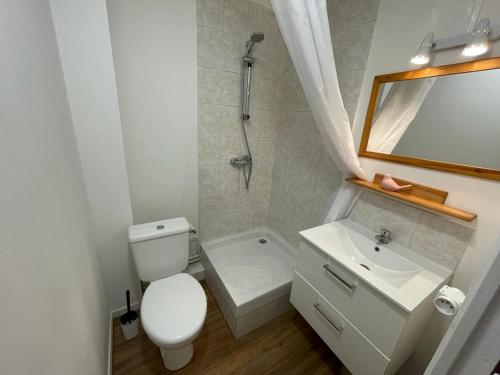 une salle de bain avec toilettes, lavabo et miroir dans l'établissement Rose, Studio proche centre ville, à Caen