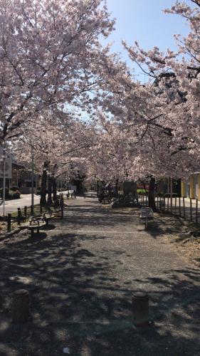 Free Parking Namba south Villa 4 rooms 120m2