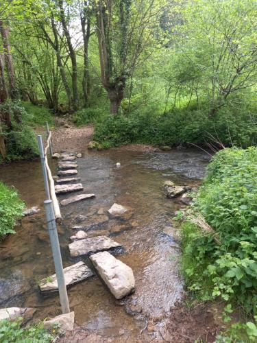a stone bridge over a stream in a forest at Ap5 Nature Ardennes Economy class apartment in La Calamine
