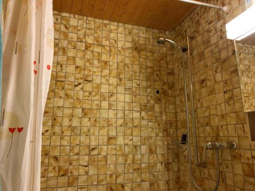 een badkamer met een douche en een douchegordijn bij Revier Silberwiidä-Galerie in Braunwald