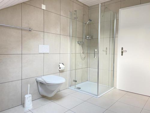 uma casa de banho com uma cabina de duche em vidro e um WC. em Revier Attika im Hazzo em Hätzingen