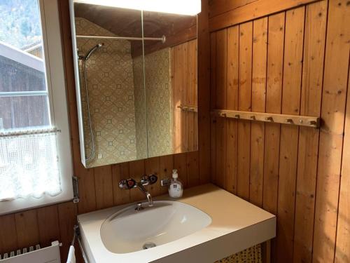 uma casa de banho com um lavatório e um espelho em Revier Hazzo's Biasca em Hätzingen
