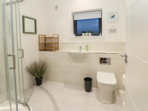 a bathroom with a toilet and a sink at 2 Strathtay Lodges in Aberfeldy