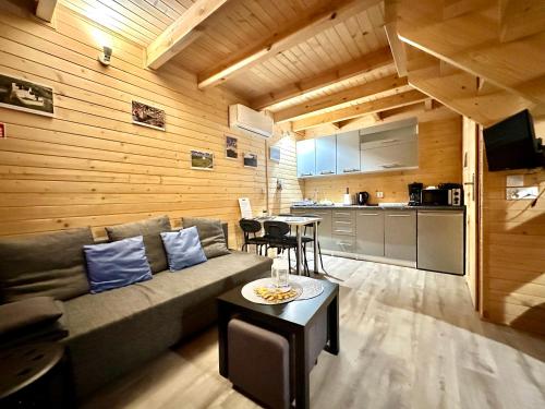 可羅日采的住宿－Domki na Jurze，带沙发的客厅和厨房