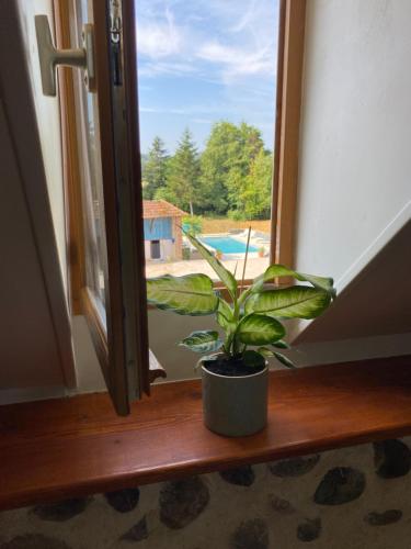 a plant sitting on a window sill looking out at a pool at Maison de Haouret in Libaros