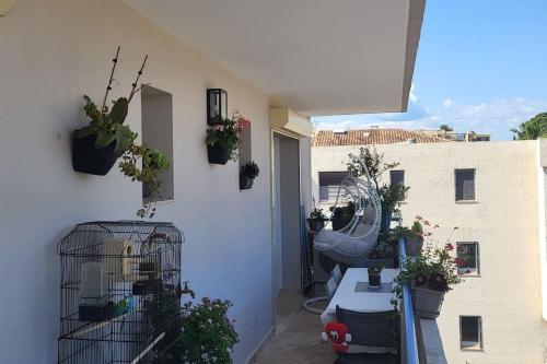 Appartement à proximité de tout