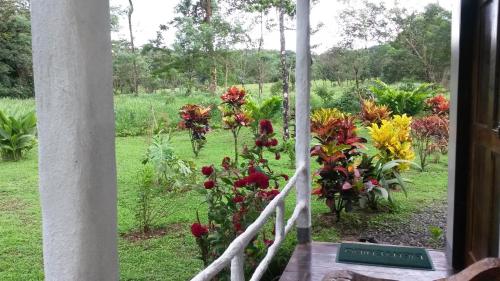 a view of a garden with flowers from a window at Nacientes Lodge in Bijagua