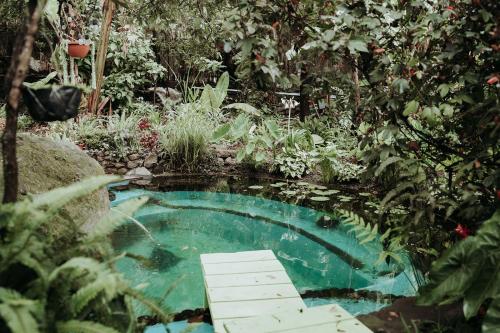 een klein zwembad met een brug in een tuin bij Casa Curativa in Tzununá