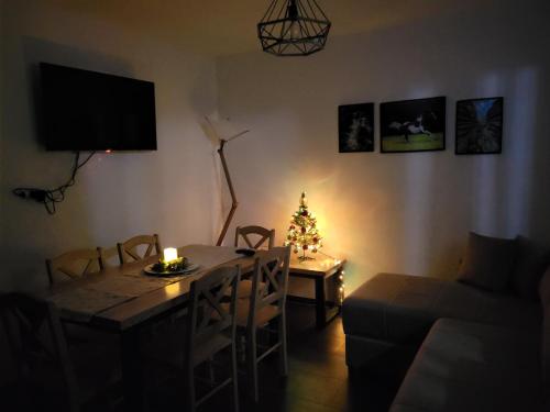 Antić apartmani Stara planinaにあるテレビまたはエンターテインメントセンター