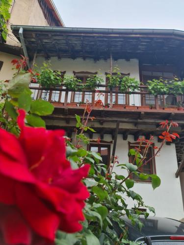 Guest House GURKO 7, 2BR, Top Center, Free Parking