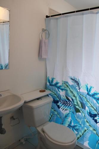 e bagno con servizi igienici, lavandino e tenda per la doccia. di Absolute Hotel & Hostel Boutique a Medellín