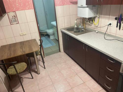 a small kitchen with a sink and a toilet at Домик для гриль и отдыха Телецентр in Chişinău