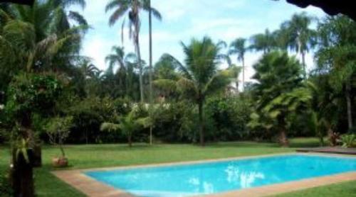 a swimming pool in a yard with palm trees at Chácara Irmandade in Ribeirão Preto