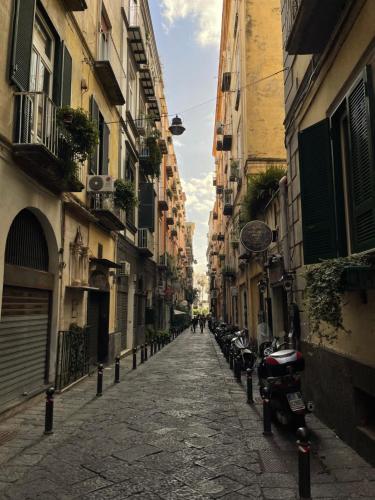 El barrio de los alrededores o un barrio cerca de este apartamento