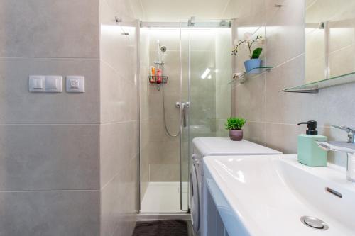a bathroom with a shower and a sink at U Studanky CR Apartments in Prague