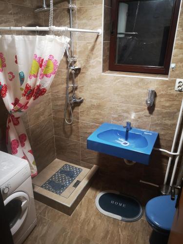 a bathroom with a blue sink and a shower at Evergreen in Banja Luka