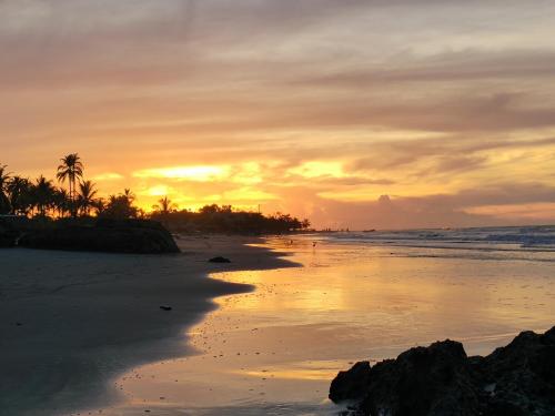 a sunset on a beach with palm trees and the ocean at La Casa del Mar - Hotel Familiar en San Bernardo del Viento in San Bernardo del Viento