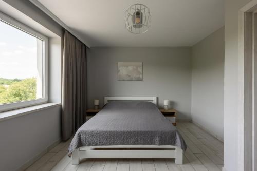 Schlafzimmer mit einem Bett und einem Fenster in der Unterkunft Таун Terrasa 3 floors in Czernowitz