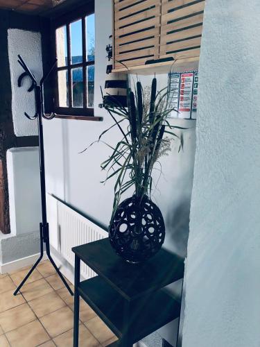Gîte Ker Corsica – Photos 3