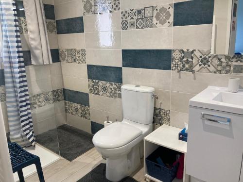 a bathroom with a toilet and a shower and a sink at Chambres d'hôtes Les Ouches in Talmont