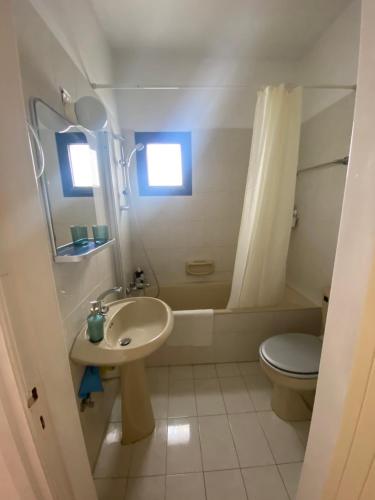 a bathroom with a sink and a toilet and a shower at Paul and Maria Sea View Apartment in Polis Chrysochous