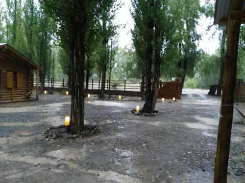 a group of trees with candles in a courtyard at BienAltura in Uspallata