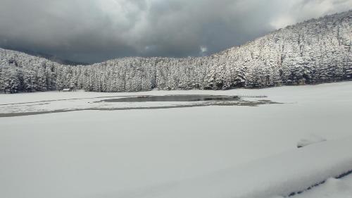 ein gefrorener See mit schneebedeckten Bäumen im Hintergrund in der Unterkunft Sunrise home stay in Khajjiar 