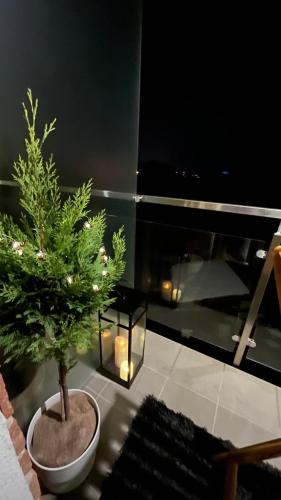 a potted tree sitting on top of a room at Rezidencia pod Zámkom Bojnice Apartmán Luna in Bojnice