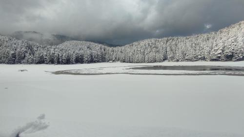 un lago congelado en las montañas con árboles nevados en Sunrise home stay, en Khajjiar 