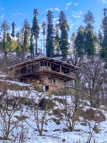 an old log cabin in a snowy field with trees at Roohi in Nagar