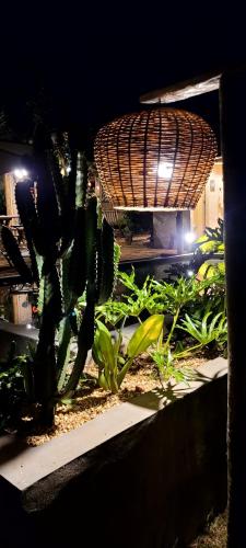 a plant in a garden with a basket at Pousada da Lua in Delfinópolis