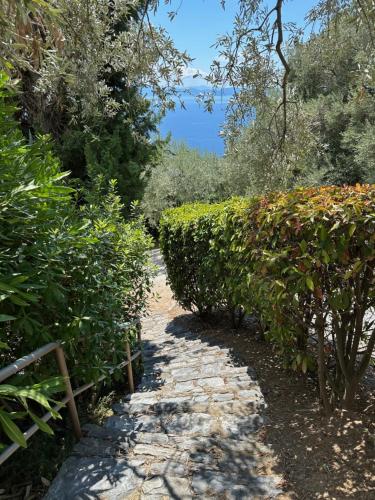 Φυσικό τοπίο κοντά σε αυτή η βίλα